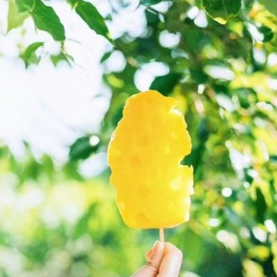 龙珠新世纪官方版下载